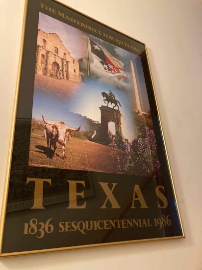 Framed poster Texas