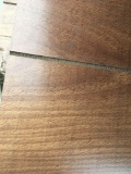 plywood panel cedar cafe 4?x8?
