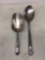 Spoon and Scoop set