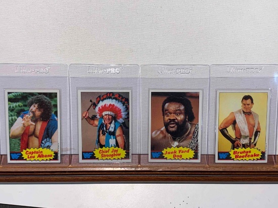 assorted WWF cards beefcake, dog, strongbow, Albano