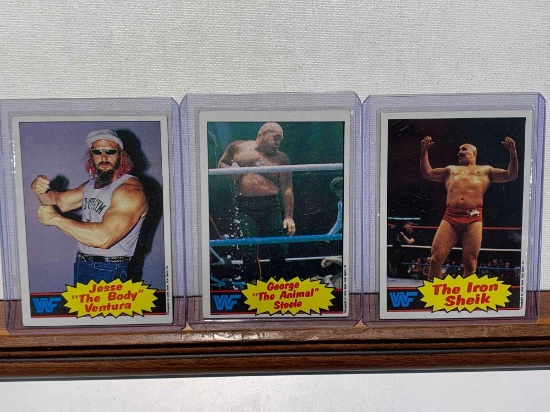 assorted WWF cards steele, Ventura, Sheik