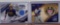 2023 Topps Baseball cards