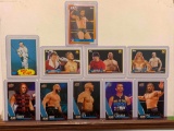 assorted wrestling cards, Fuji, Cole, race, Volkoff, Sheik, hearty, Miro, sky, Kazarian, pac