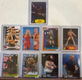 Assorted Wrestling cards Hager, Ortiz, Atlas, Punk, Bayley, Baszler, Storm, Jarrett, Debra