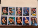 Assorted Wrestling cards Strongbow, Sabian, Quen, Allin, Boy, Kassidy, Lee, Luchasaurus, Santana,