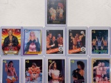 Assorted Wrestling cards Busters, Sherri, Elizabeth, Martel, Santana, Rousey, Flair, Luger and
