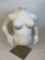 Half mannequin