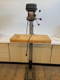 Cal Hawk 12 speed drill press
