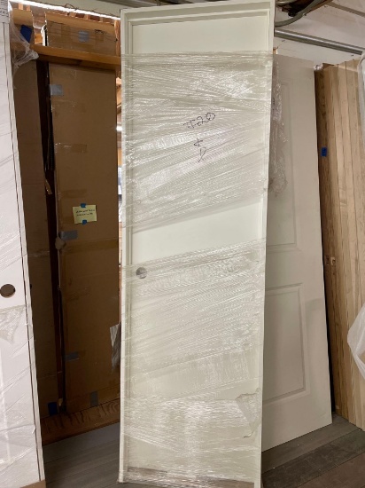 Door 24x80