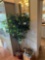 Misc decor and faux tree picture and stars
