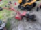 Rear Tine Tiller untested