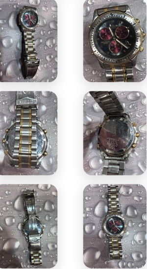 Citizen Watch please see pictures