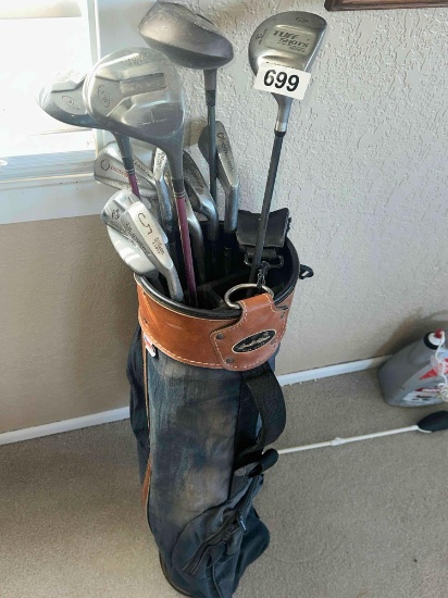 GOLF CLUBS IN BAG