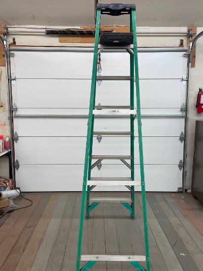 Werner Ladder 7