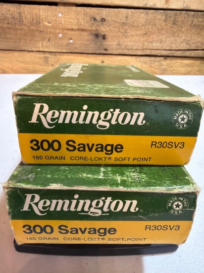 Remington .300 Savage Ammunition