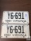 Pr of matched Virginia 1961 license plates