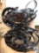 Smucker's Harness