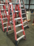 Werner Electro-Master Step Ladder