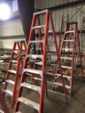 Werner Electro-Master Step Ladder