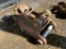 Hendrix Hydraulic Quick Coupler
