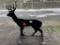 2021 Deer Shooting Target