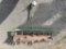 Pull Behind Roller/Aerator
