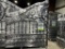 2021 Greatbear 14' Wrought Iron Gate