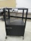 2 Tier Rolling Metal Door AV Cart.