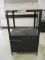 2 Tier Rolling Metal Door AV Cart.