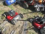 Briggs and Stratton 550ex Push Lawn Mower