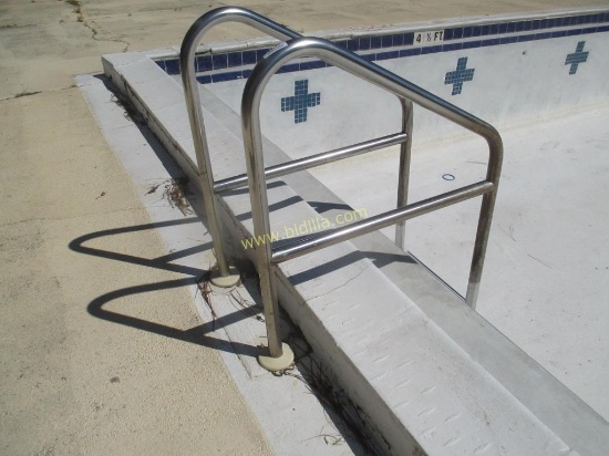 Stainless Steel Pool Ladder