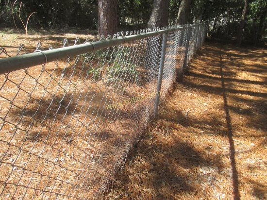 Chain Link Fencing with Gate and Posts