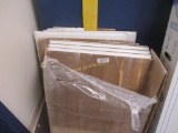 (10) Ceiling Tiles