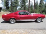 1968 Ford Mustang Shelby GT 500 Coupe