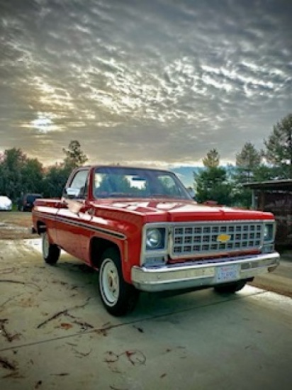 1980 Chevrolet Pickup