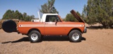 1979 International  Scout Pick-up