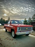 1980 Chevrolet Pickup