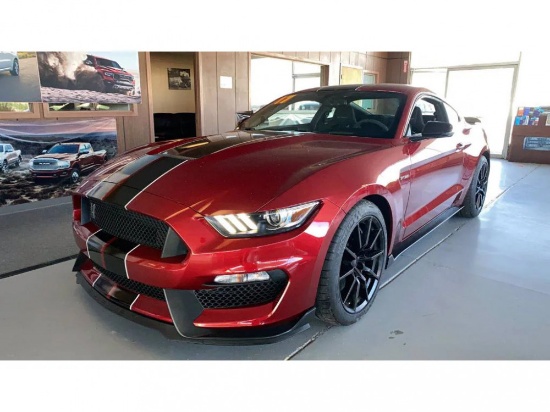 2017 Ford Shelby GT 350