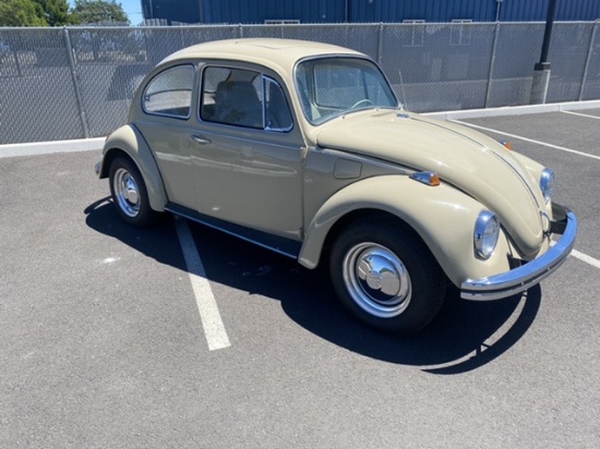 1969 Volkswagen Bug