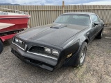 1978 Pontiac Firebird Trans AM