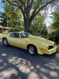 1977 Pontiac Trans Am Custom