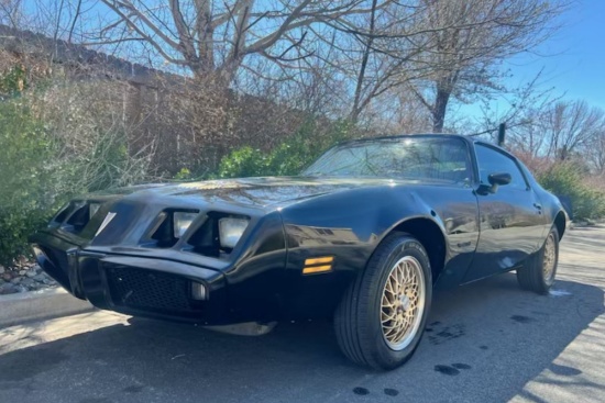 1979 Pontiac Firebird