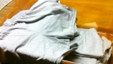 53 grey shorts