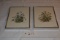 2 Nellie Meadows Signed & Numbered Framed Prints