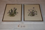 2 Nellie Meadows Signed Framed  Prints