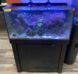 Saltwater Fish Tank                                                  S210