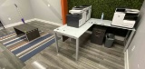 Lot: Desk, Coffee Table, Area Rug                      S202