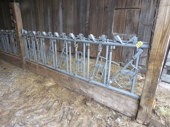 7 Calf Size 10ft Self Locking Head Gate