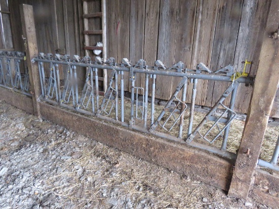 7 Calf Size 10ft Self Locking Head Gate