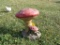 Concrete Mushroom